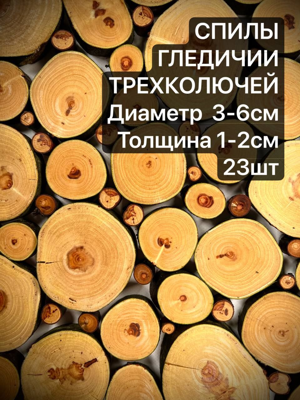 

Спилы дерева Гледичия 3-6 см 23 шт