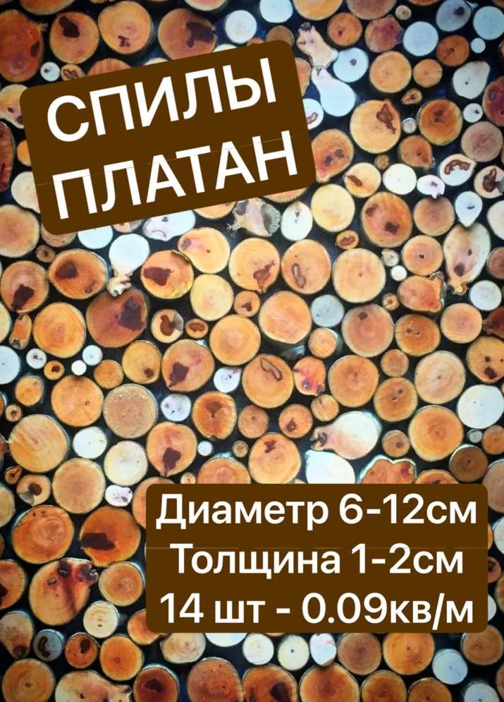 

Спилы дерева Платана торцевые срезы 6-12 см 14 шт