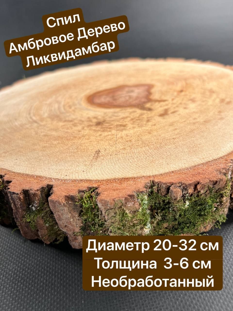 

Спил Амбрового дерева Ликвидамбар 20-32 см 1 шт