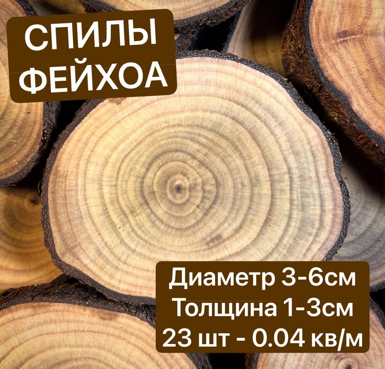 

Спилы дерева Фейхоа 3-6 см 23 шт