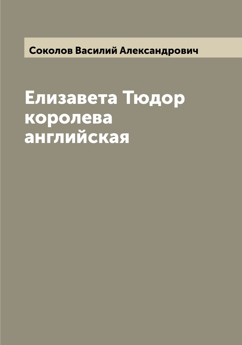 

Книга Елизавета Тюдор королева английская