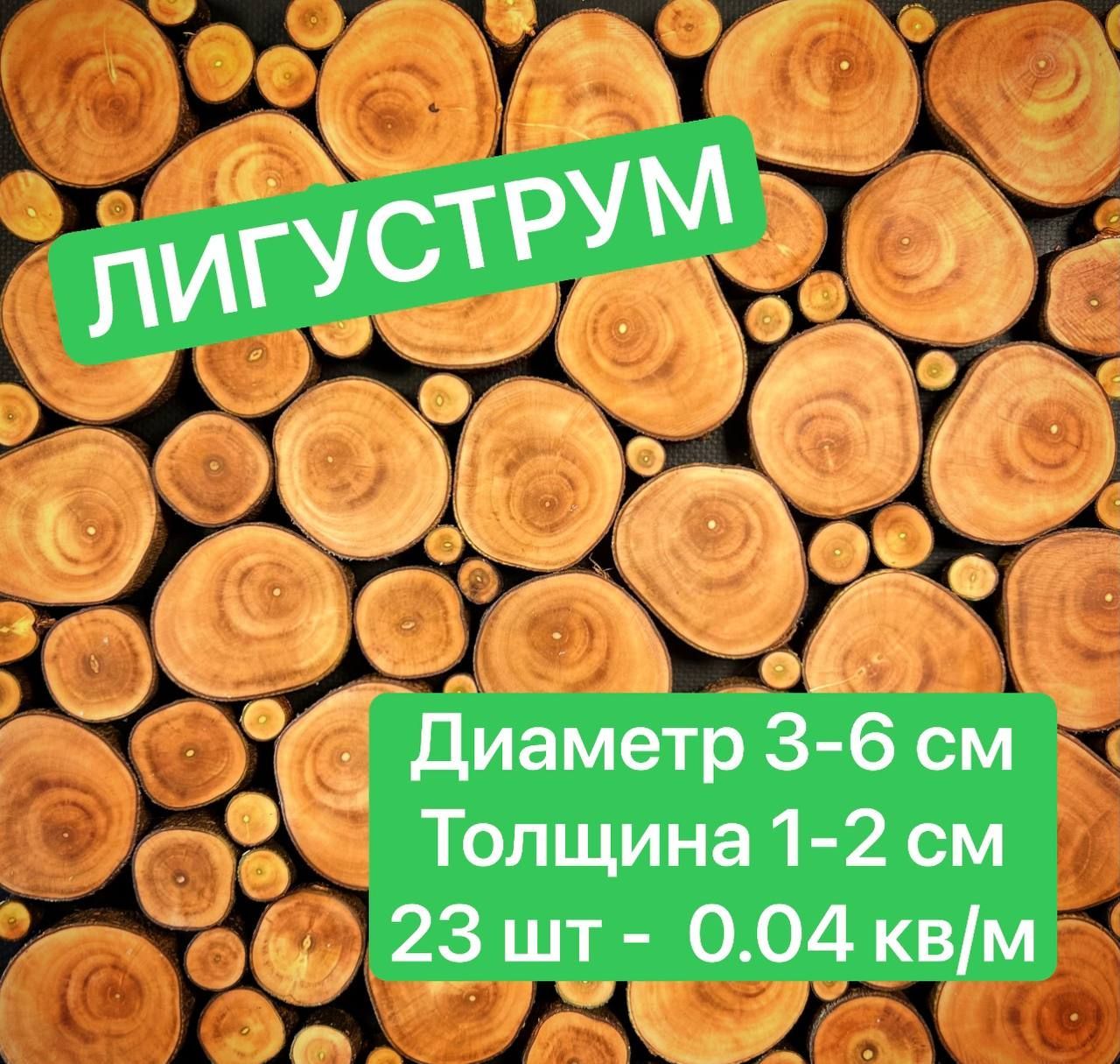 

Спилы дерева Лигуструм срезы 3-6 см 23 шт