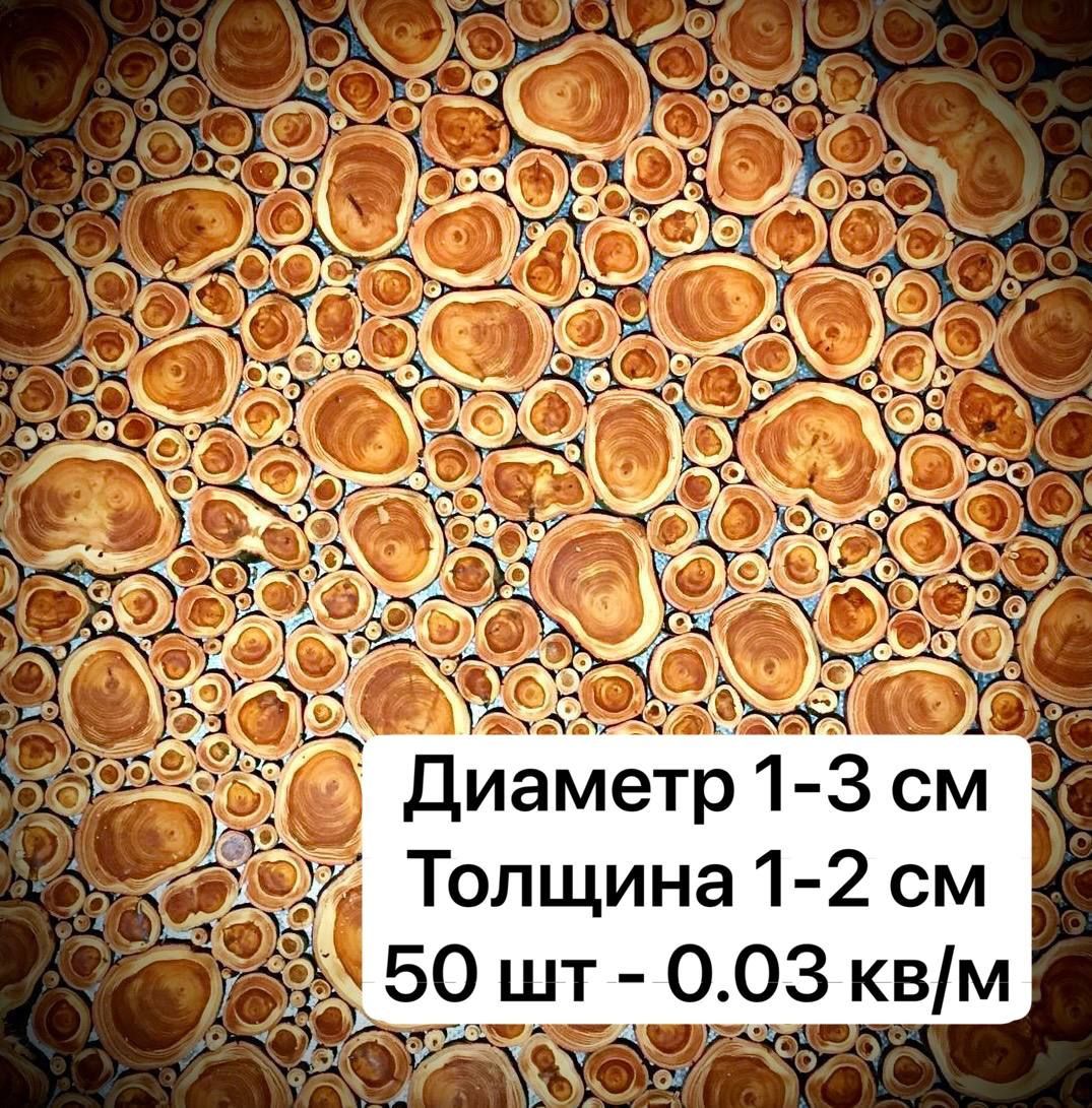 

Спилы дерева Тис 1-3 см 50 шт