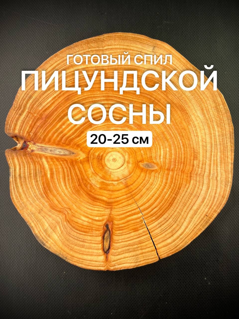 

Спил дерева Пицундской Сосны 20-25см 1шт