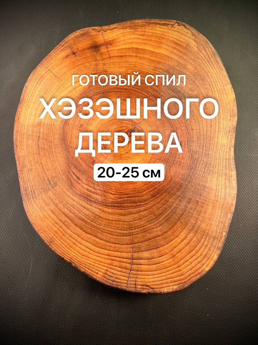 

Спил дерева Хэзэшного Дерева 20-25см 1шт