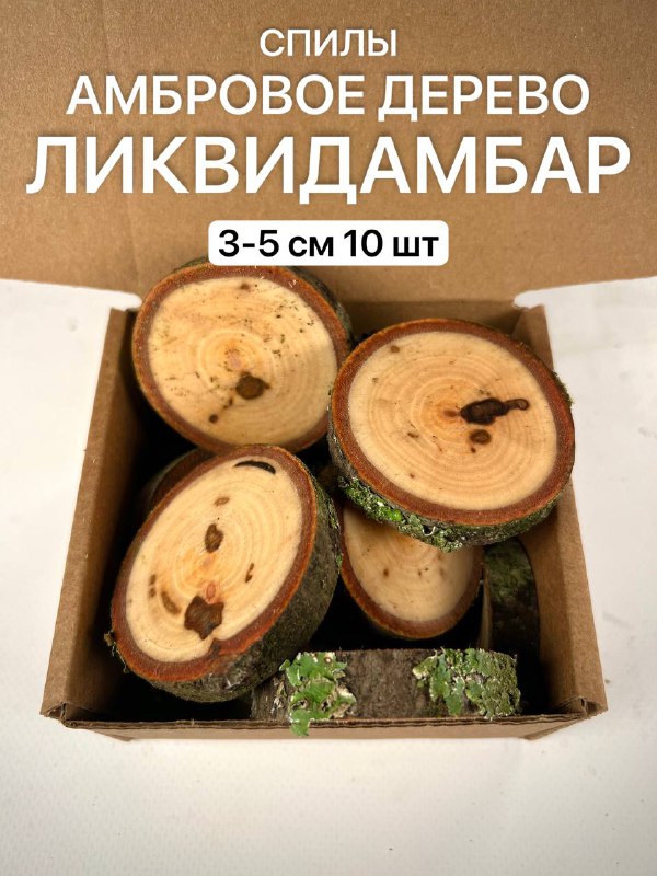 

Спилы Амбрового дерева Ликвидамбар 3-5см 10шт