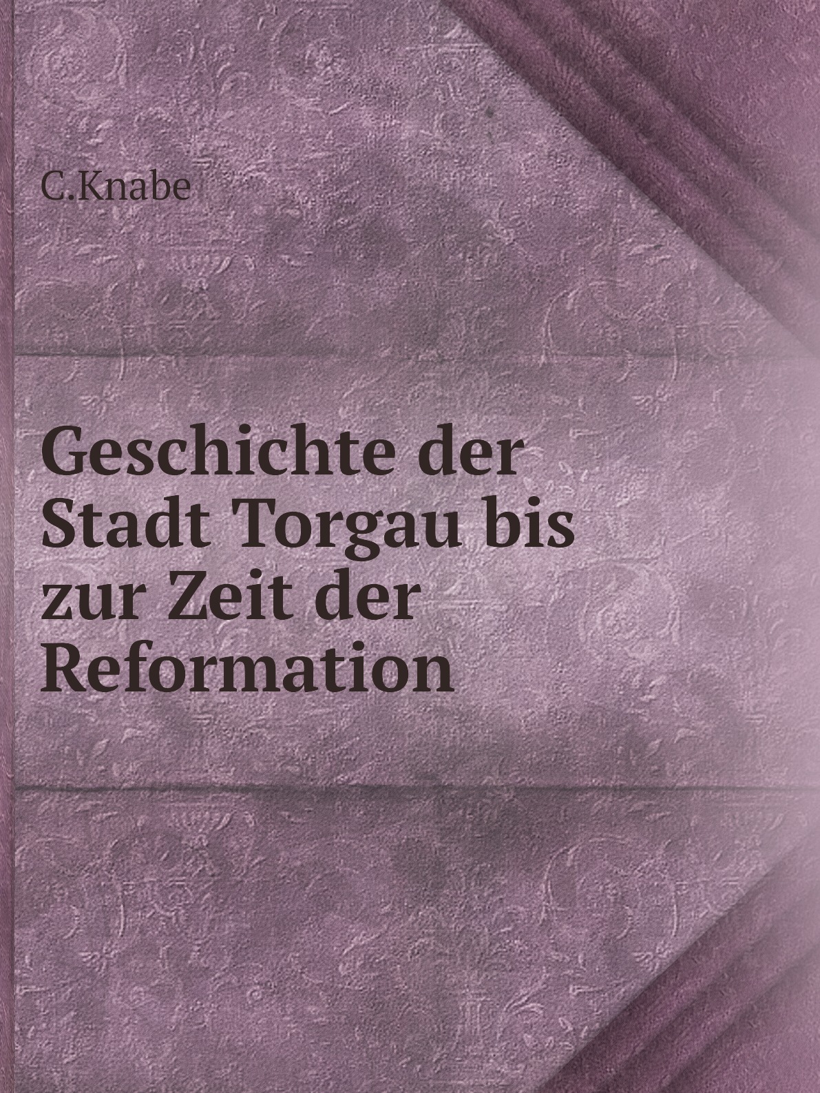 

Geschichte der Stadt Torgau bis zur Zeit der Reformation