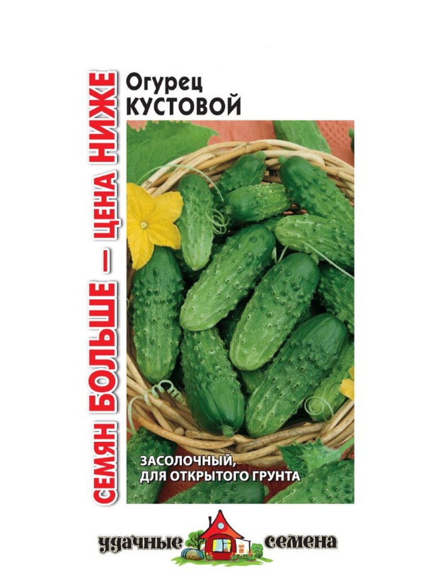 

Семена Удачные семена Огурец Кустовой 10 упаковок по 1 гр.