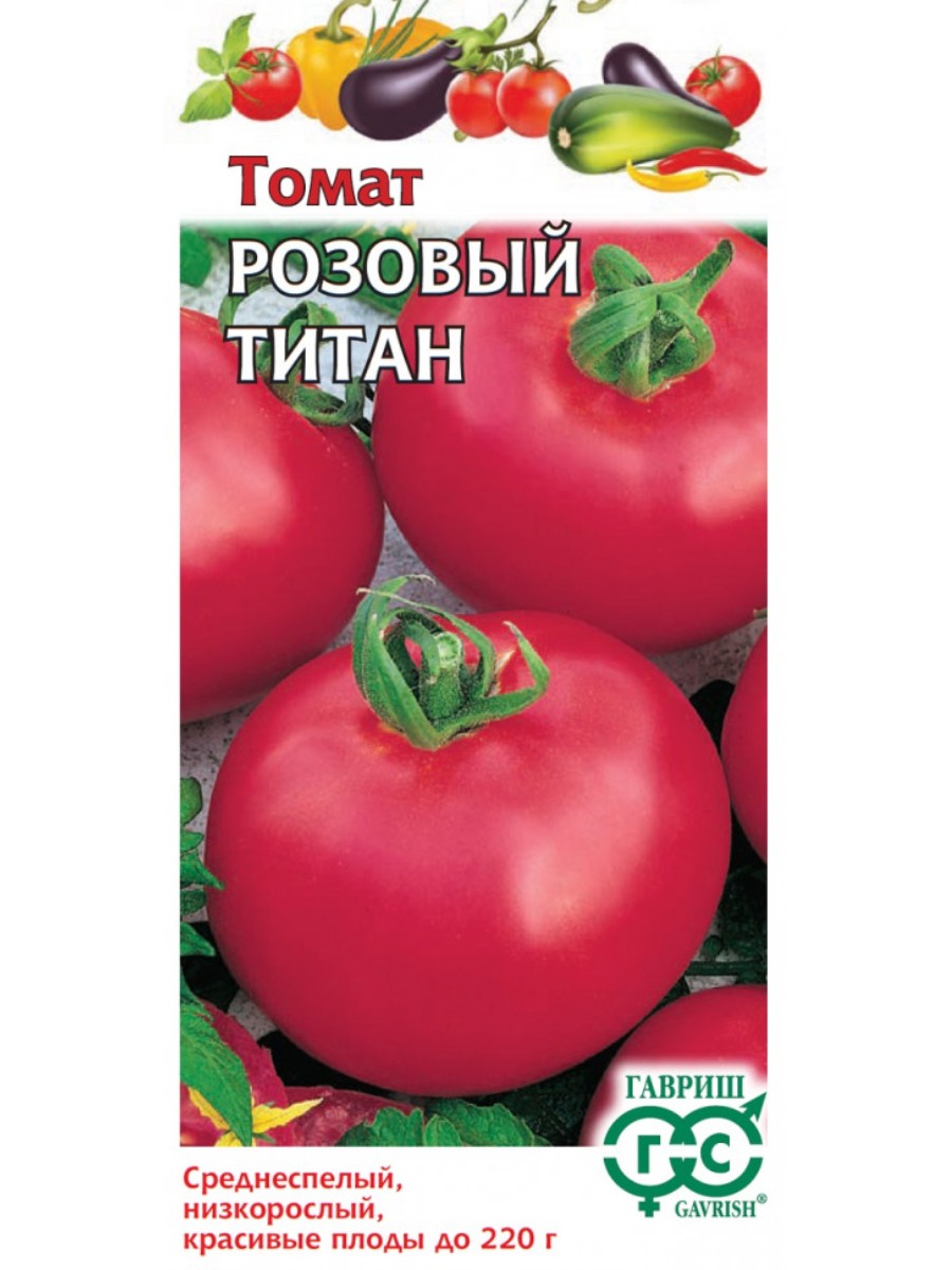 Томат Титан Отзывы Фото Урожайность