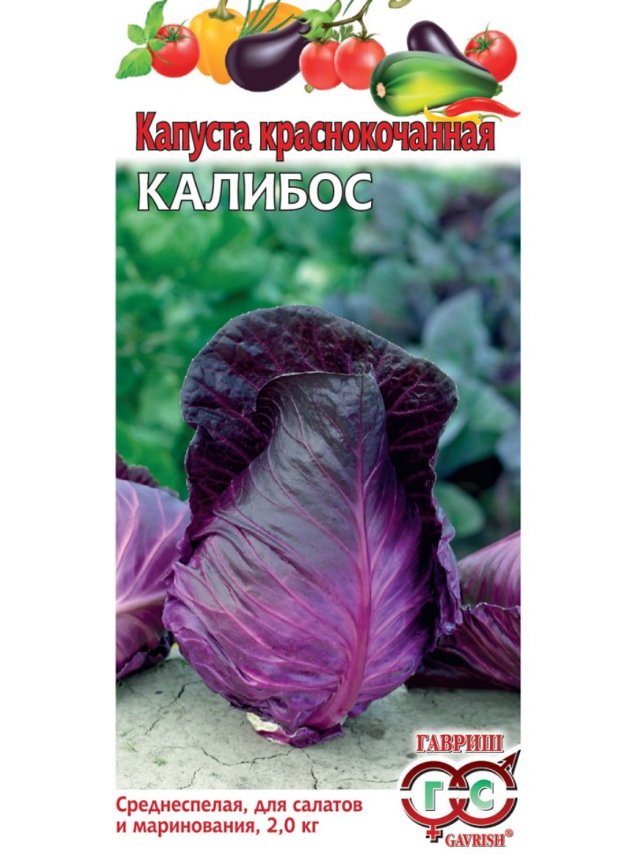 

Семена Гавриш Капуста краснокочанная Калибос 10 упаковок по 01 гр.