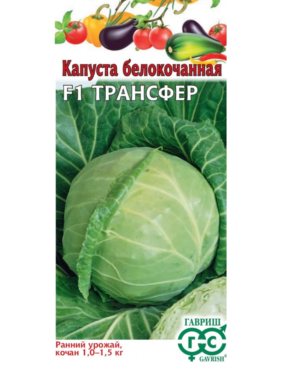 

Семена Гавриш Капуста белокочанная Трансфер F1 10 упаковок по 10 семян