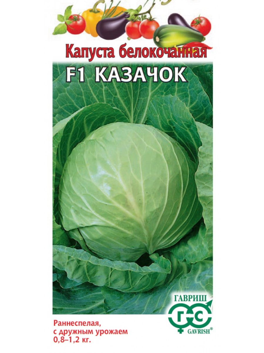 

Семена Гавриш Капуста белокочанная Казачок F1 10 упаковок по 10 семян