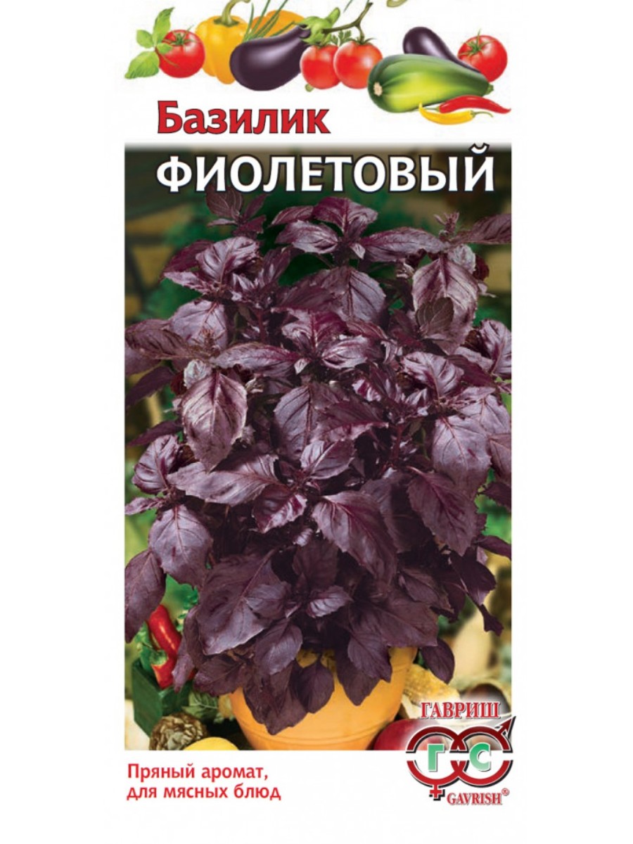 

Семена Гавриш Базилик Фиолетовый 10 упаковок по 01 гр.