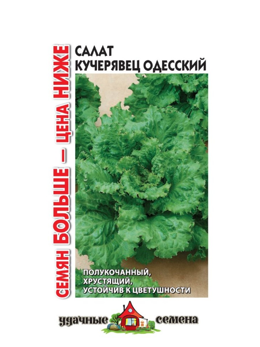 

Семена Удачные семена Салат полукочанный Кучерявец Одесский 10 упаковок по 1 гр.