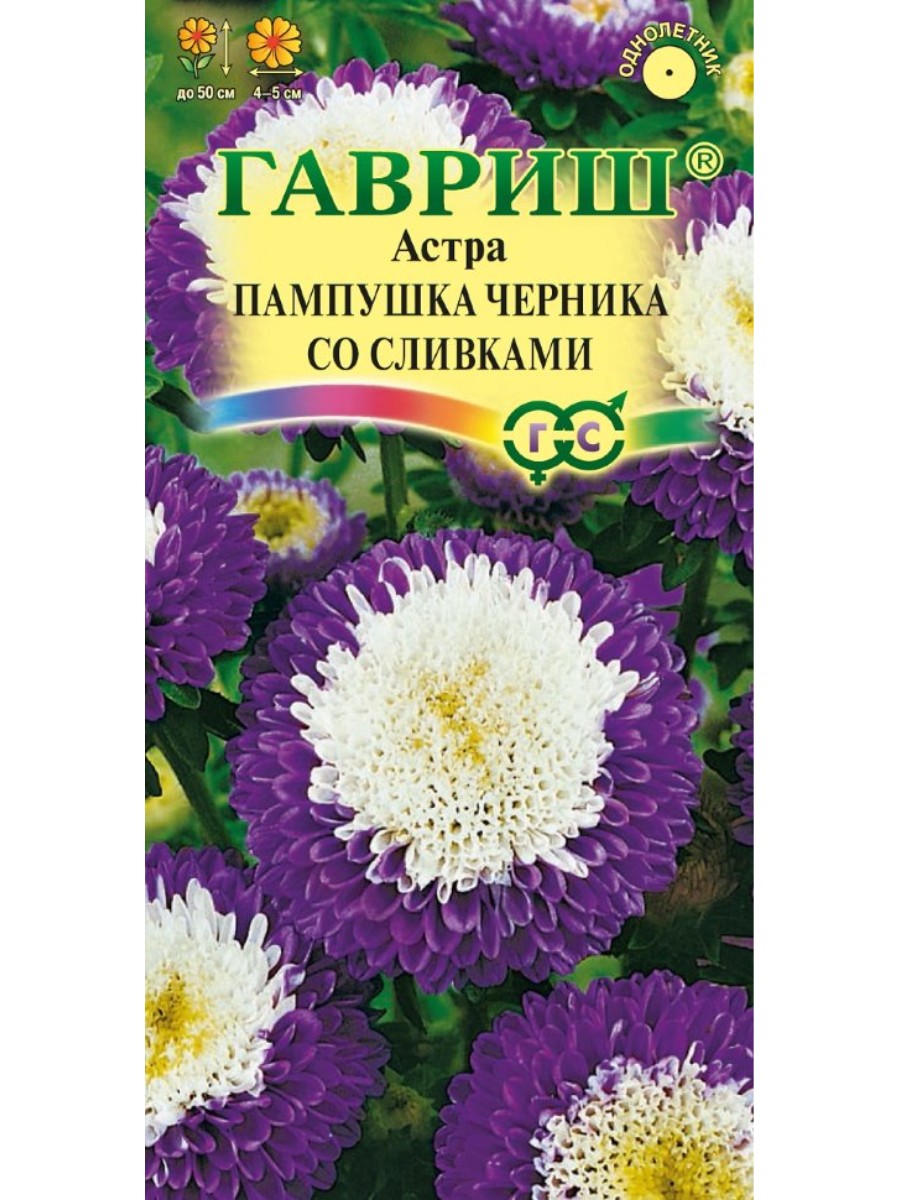 

Семена Гавриш Астра Пампушка черника со сливками помпонная 10 упаковок по 03 грамма