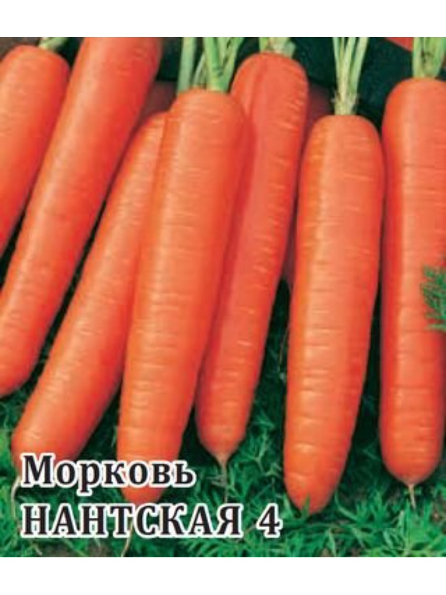 

Семена Гавриш Морковь Нантская 4 5 упаковок по 25 гр.
