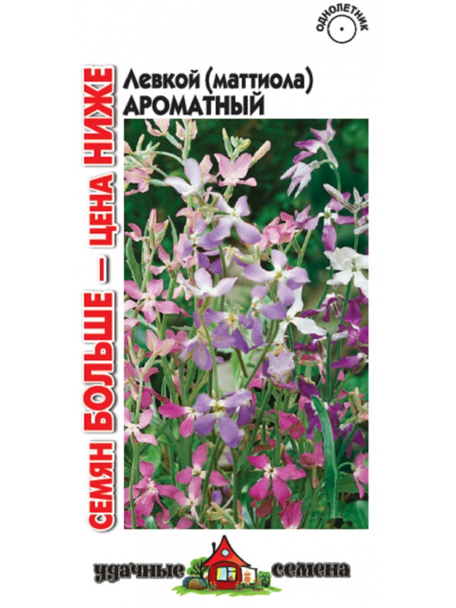 

Семена Удачные семена Левкой двурогий (Маттиола) Ароматный 10 упаковок по 06 гр.