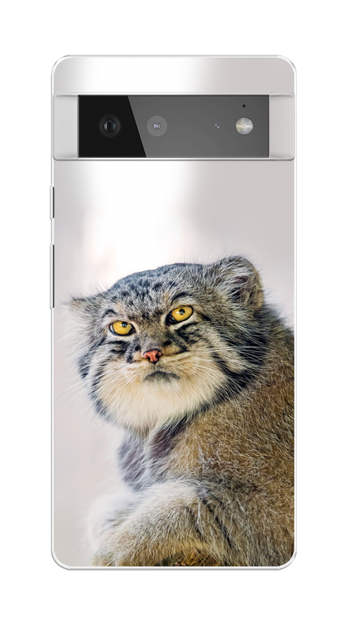 

Чехол на Google Pixel 6 "Кот манул 1", Серый;белый;желтый, 270850-1