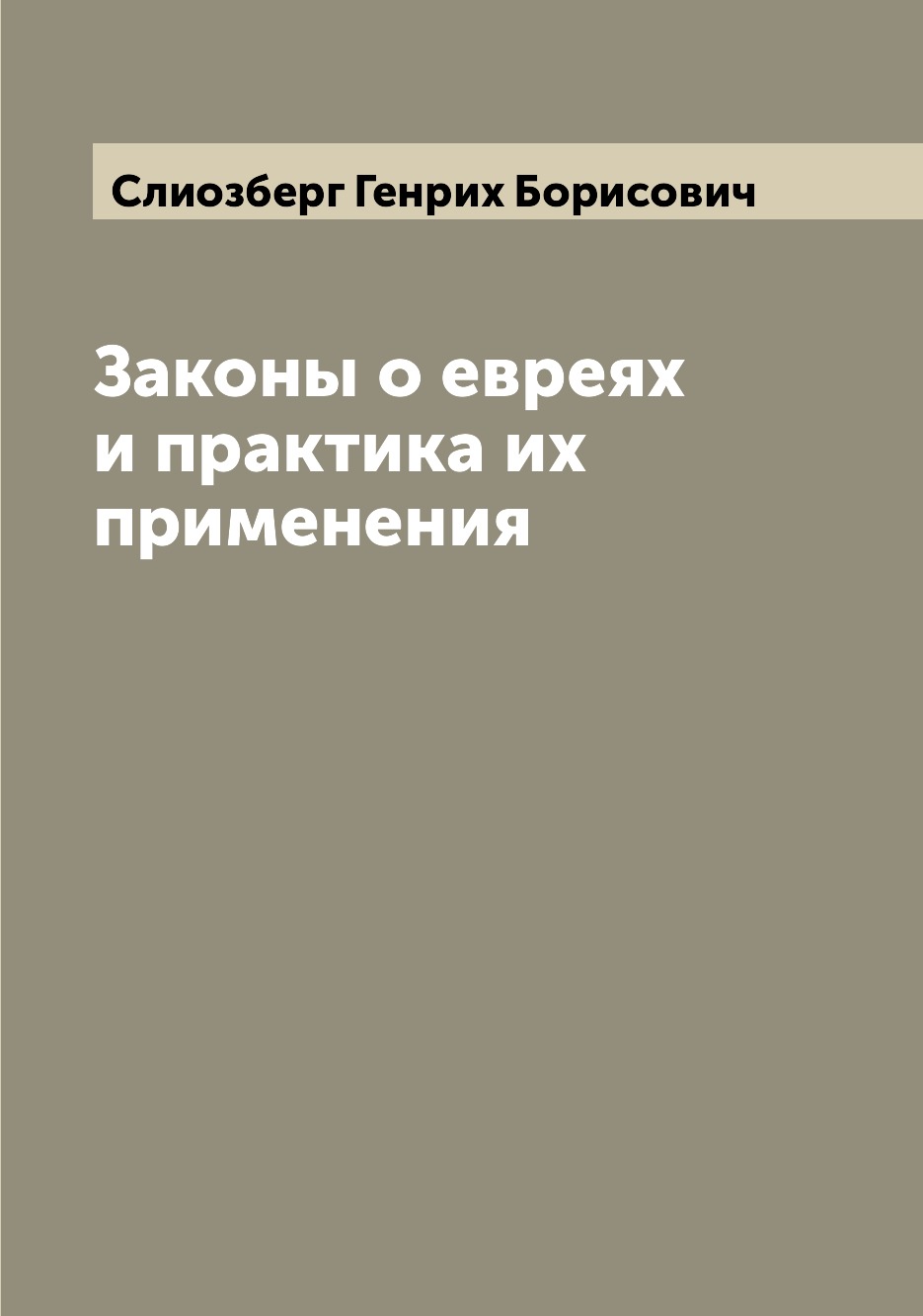 

Книга Законы о евреях и практика их применения