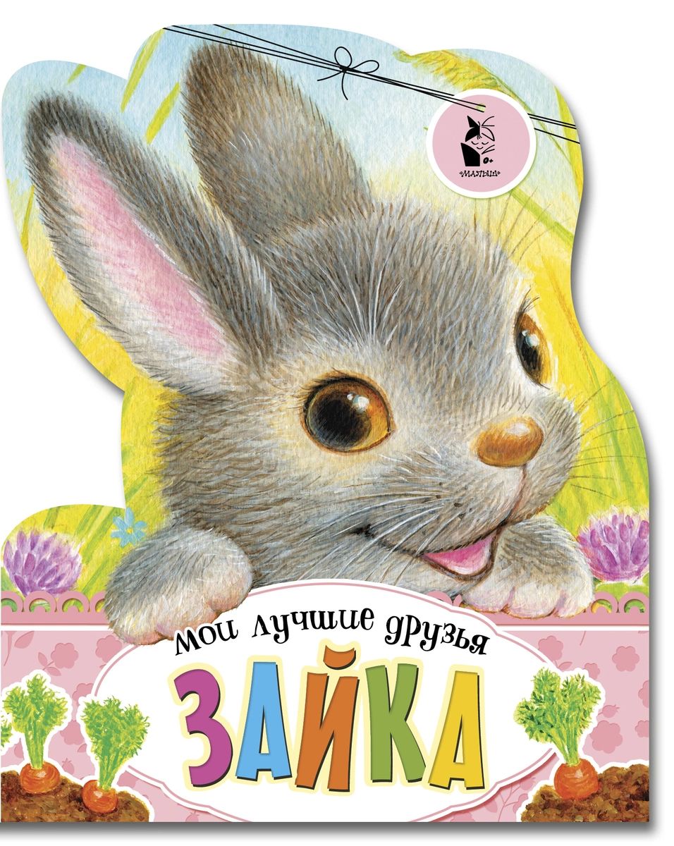 

Книга Зайка