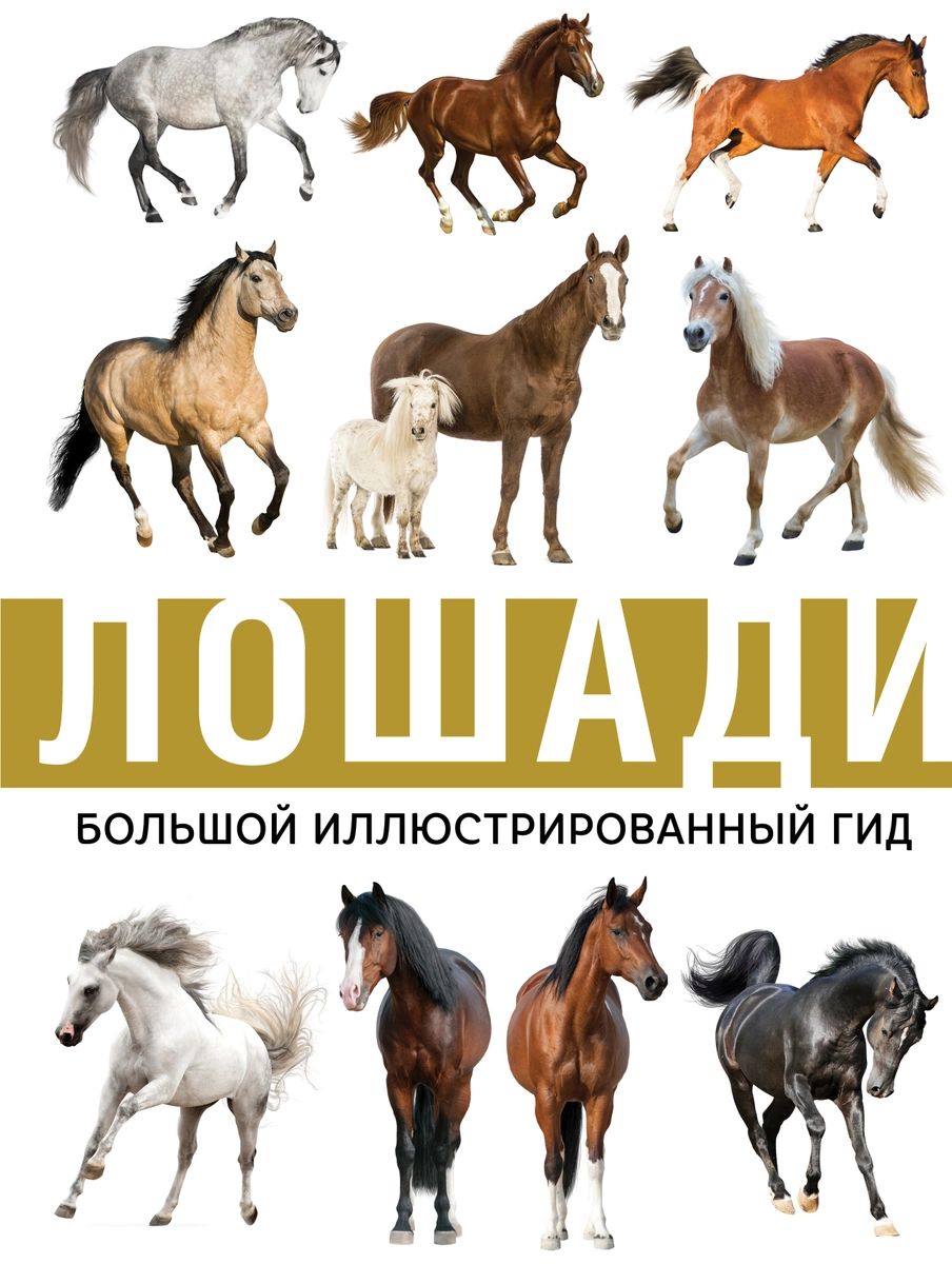 фото Книга лошади аст