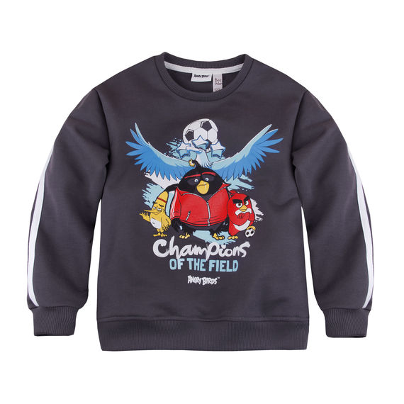 

Свитшот Bossa Nova для мальчика Angry Birds размер 34 рост 128 см, 203АБ-461с