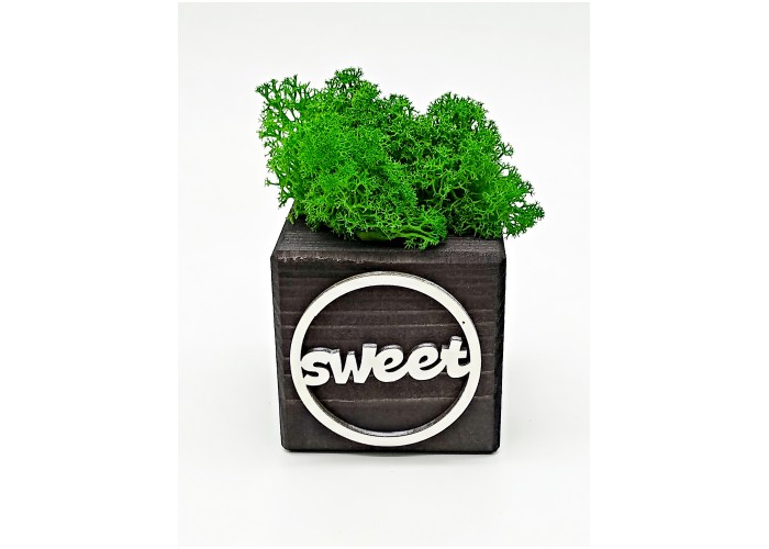 

Композиция со мхом "Бриовуд-месседж" sweet, цвет: Эбен, мох: Forest green