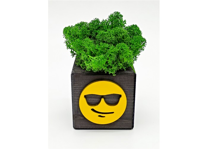 

Композиция со мхом "Бриовуд-эмодзи" sunglasses, цвет: Эбен, мох: Forest green