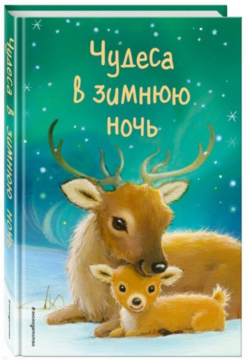 

Книга Чудеса в зимнюю ночь (выпуск 2)