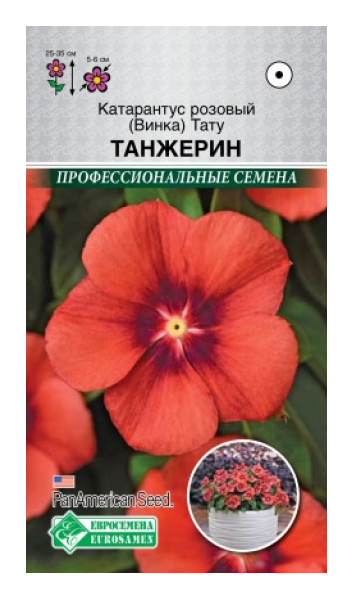 

Катарантус розовый Тату Танжерин, 5 шт. PanAmSeeds