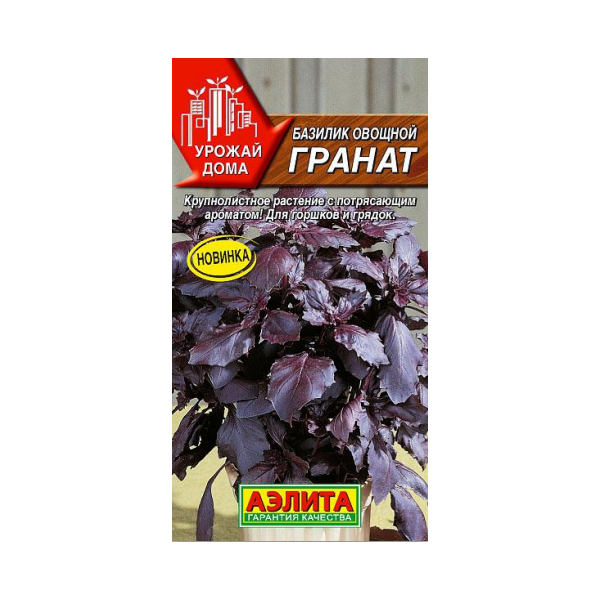 

Семена базилик Аэлита Гранат 1 уп.