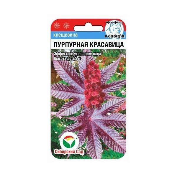 

Клещевина Пурпурная красавица, 5 шт.