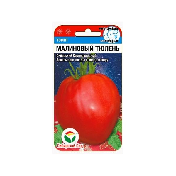 фото Семена овощей томат малиновый тюлень сибирский сад 8 г