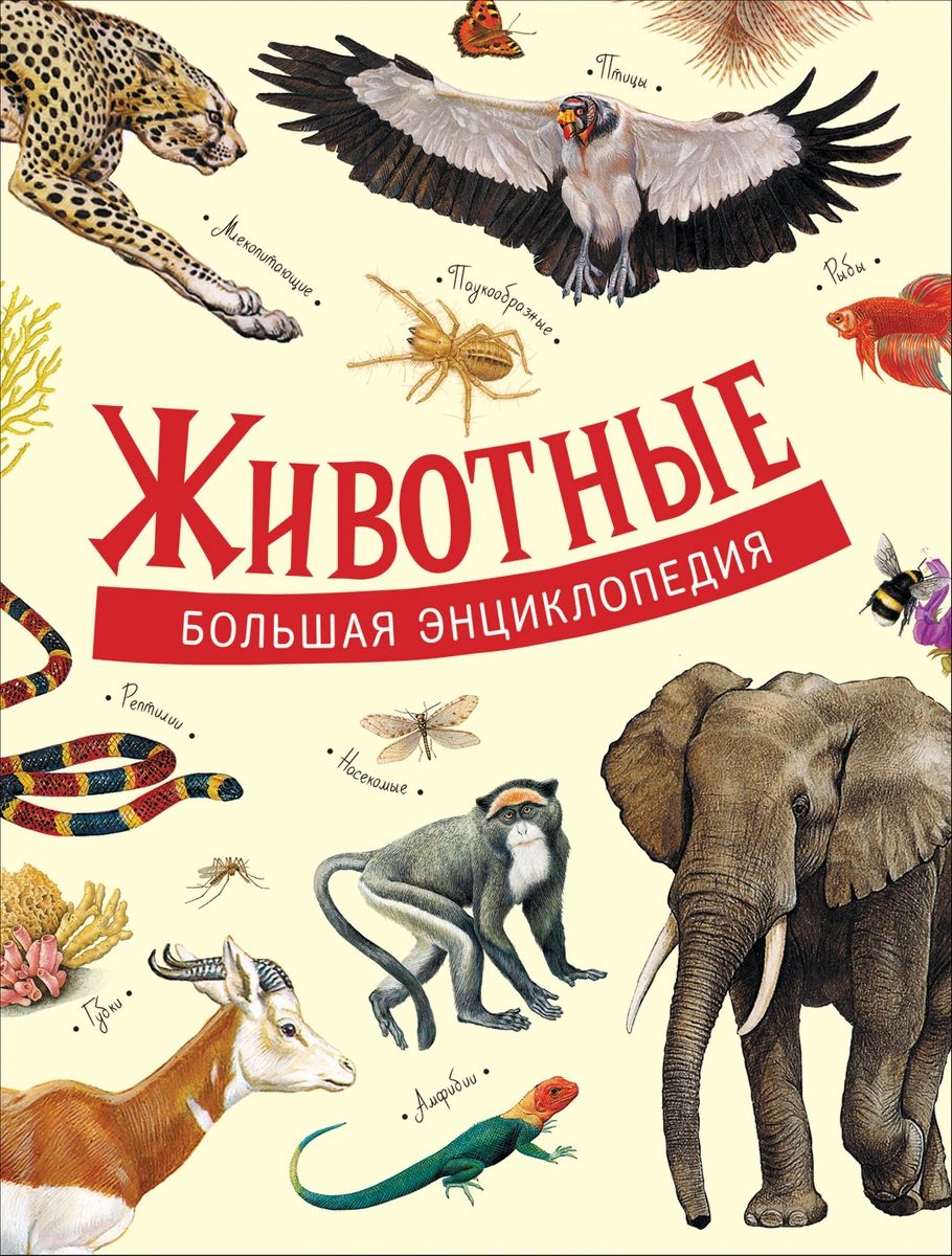 Книги о животных картинки