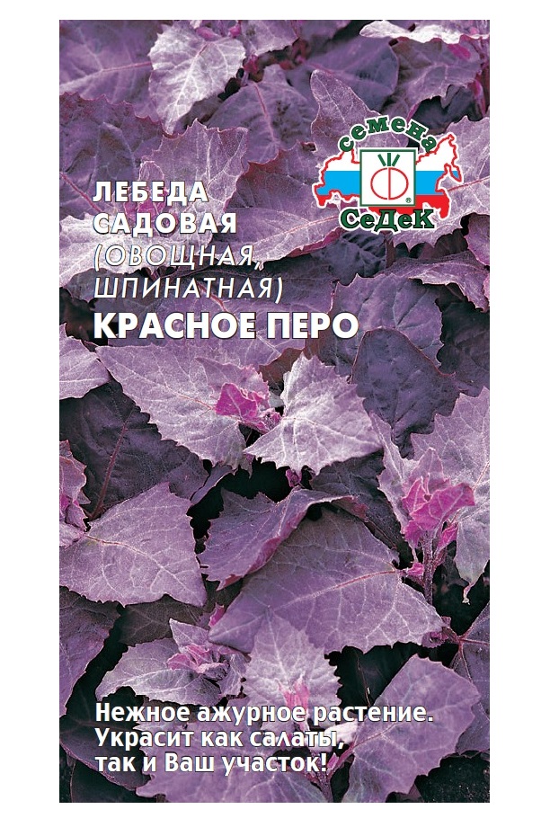 

Семена шпинат СеДеК Красное перо 1 уп.
