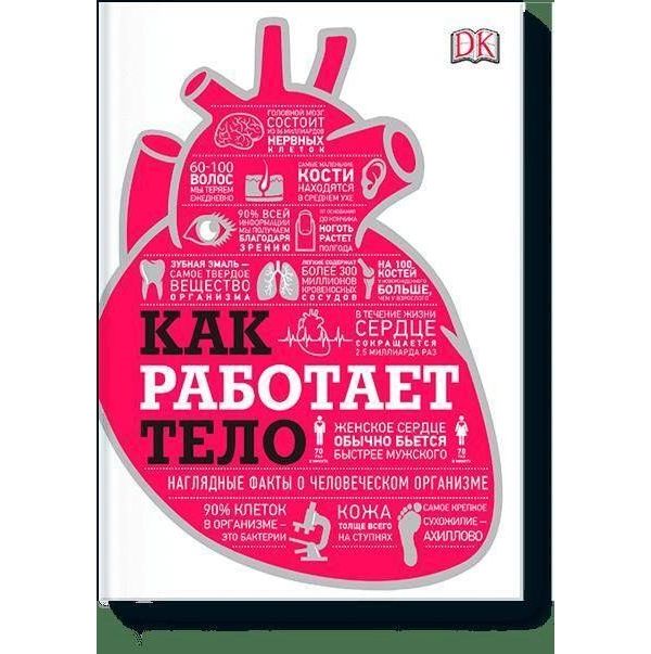 

Как работает тело