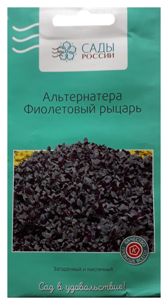 

Альтернатера Фиолетовый рыцарь, 3 шт.