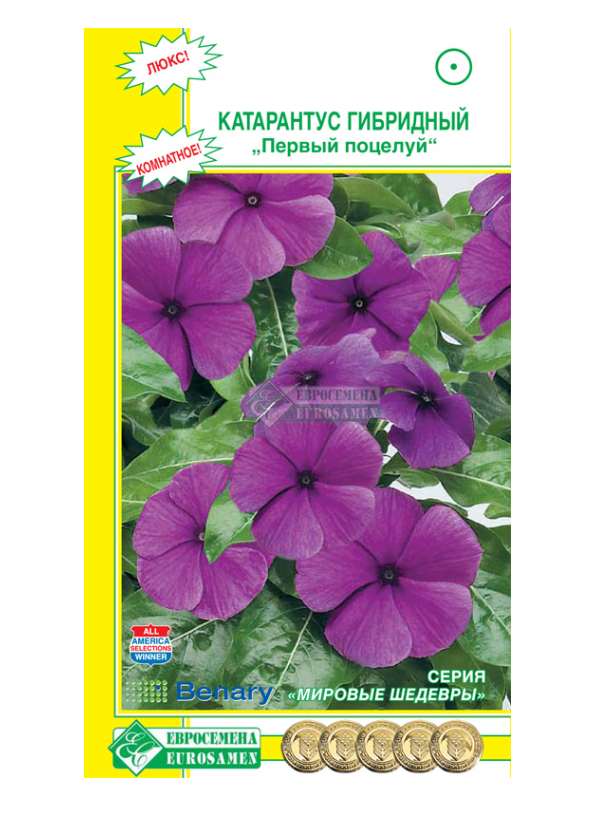 

Катарантус гибридный Первый поцелуй Черника, 10 шт. Мировые шедевры