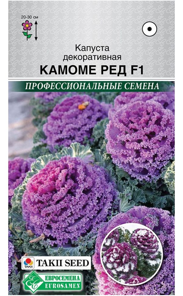 

Капуста декоративная Камоме Ред F1, 5 шт. Takii Профессиональные семена