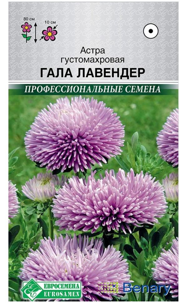 

Астра густомахровая Гала Лавендер, 10 шт. Benary Профессиональные семена