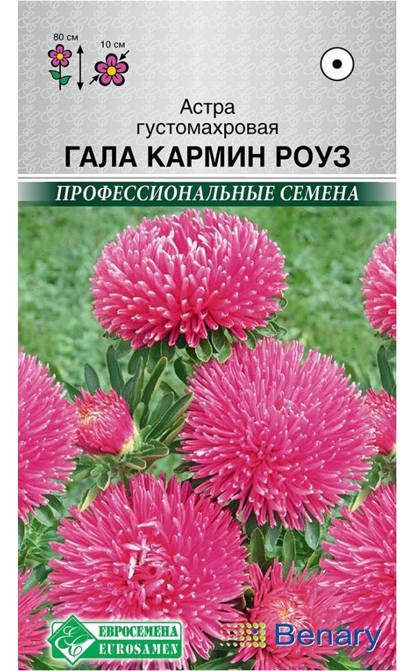 

Астра густомахровая Гала Кармин Роуз, 10 шт. Benary Профессиональные семена