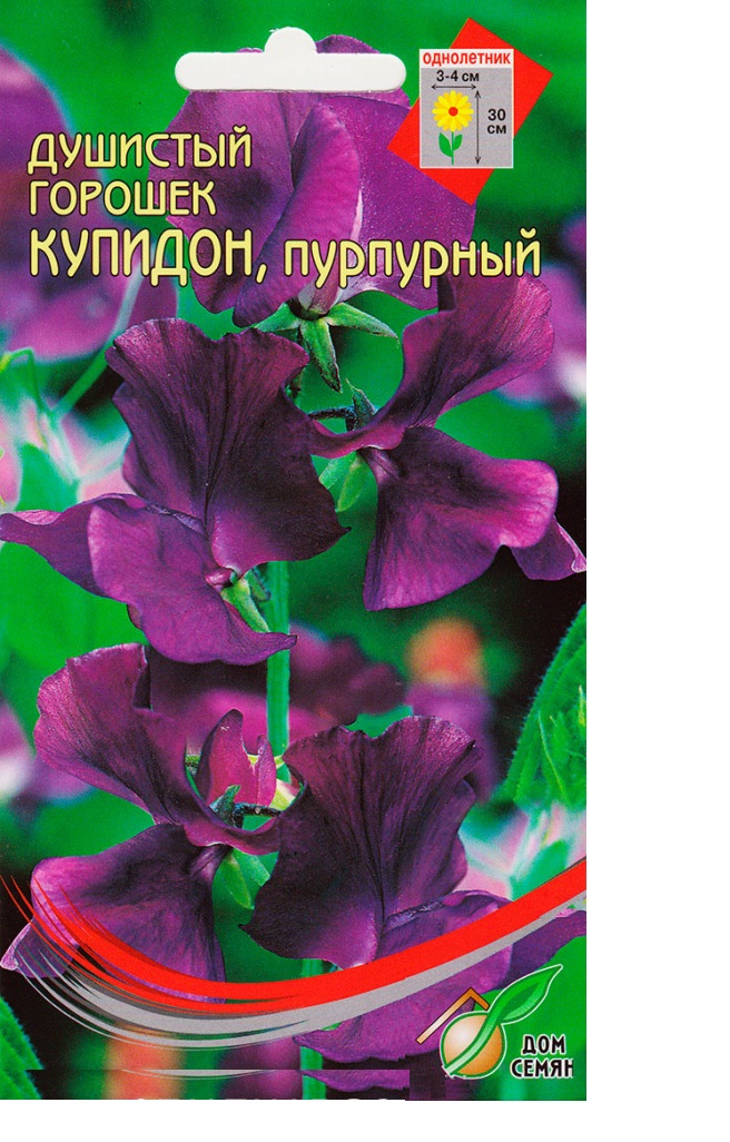 

Семена душистый горошек Дом семян Купидон пурпурный 1 уп.