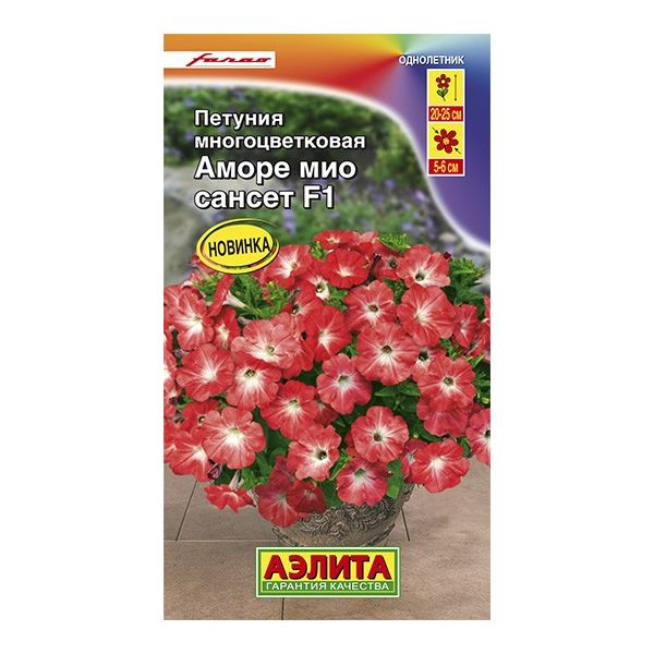 

Петуния Аморе Мио Сансет F1, 7 шт. Farao