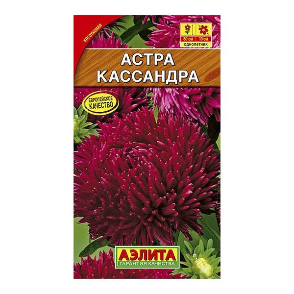 

Семена астра Аэлита Кассандра 101823 1 уп.