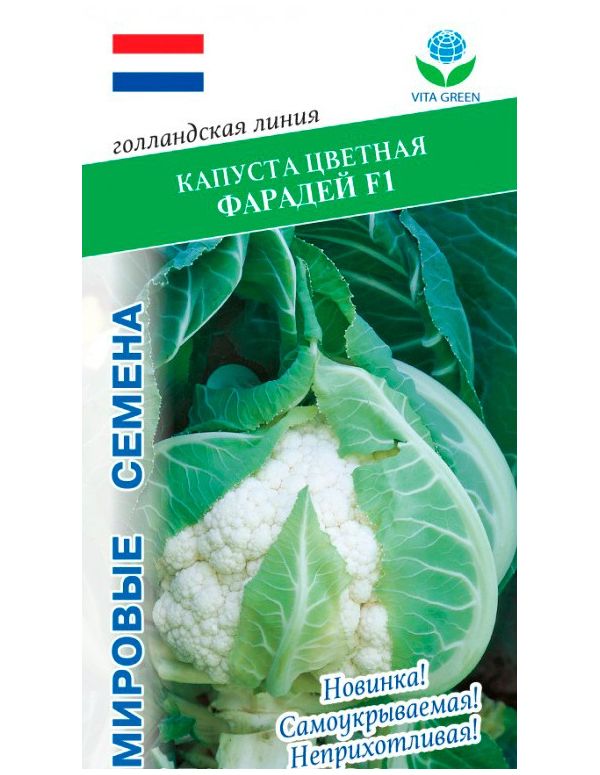 

Капуста цветная Фарадей F1, 10 шт. Голландская линия