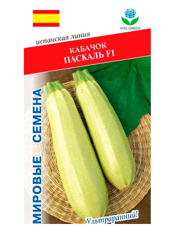 

Кабачок Паскаль F1, 5 шт. Испанская линия