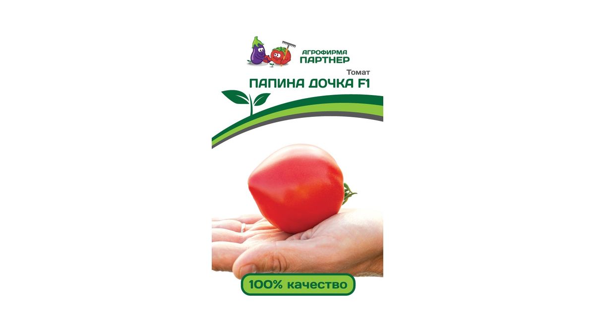 Томат Папины Дочки Отзывы Фото