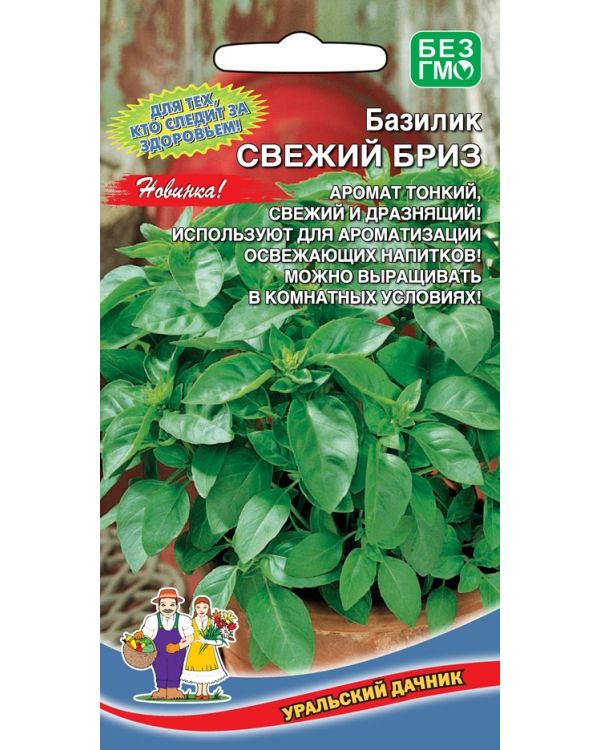 Базилик Свежий Купить В Москве