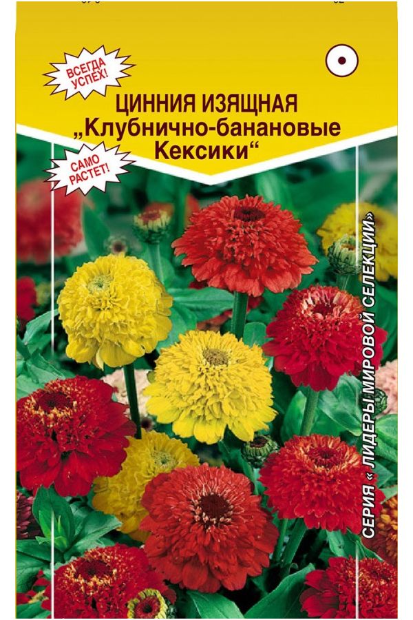 

Цинния изящная Клубнично-банановые кексики, 7 шт. Лидеры мировой селекции