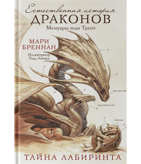 

Книга Тайна Лабиринта